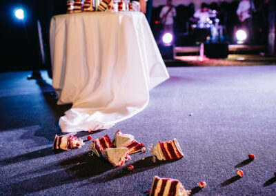 Wedding Disasters